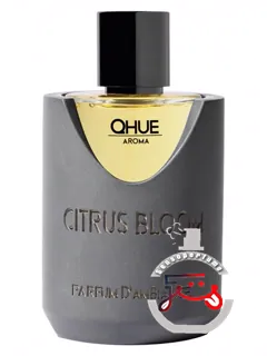 سایتروس بلوم کیو | citrus bloom qhue