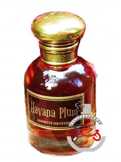 «هاوانا پلام آنت نوفر» | havana plum annette neuffer