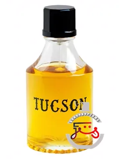 توسان آستیه دو ویلات | tucson astier de villatte