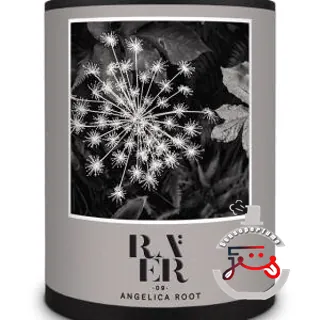 Raer 09 Angelica Root RAER Scents