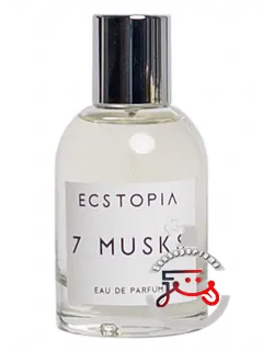 سون ماسکس اکستوپیا | 7 musks ecstopia