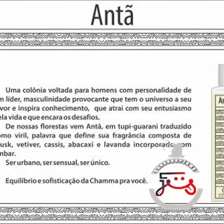 Antã Chamma da Amazônia