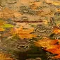 autumnvibes11