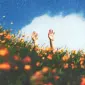 NotesOfNose