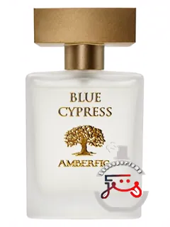 بلو سایپرس آمبرفیگ | blue cypress amberfig