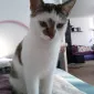 EmiliaF