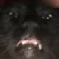 BigBoyRoma