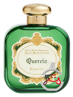 کوئرچیا سانتا ماریا نوولا | quercia santa maria novella