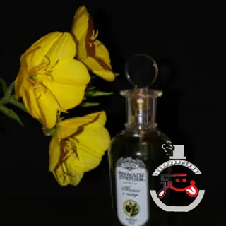 Тюльпан и мимоза - Tulip and Mimosa Brocard