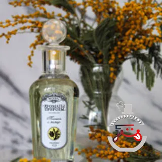 Тюльпан и мимоза - Tulip and Mimosa Brocard