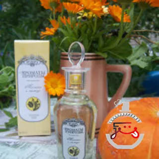 Тюльпан и мимоза - Tulip and Mimosa Brocard