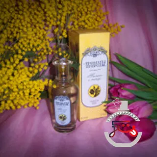 Тюльпан и мимоза - Tulip and Mimosa Brocard
