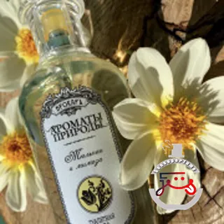 Тюльпан и мимоза - Tulip and Mimosa Brocard