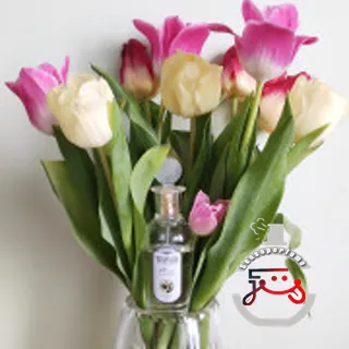 Тюльпан и мимоза - Tulip and Mimosa Brocard