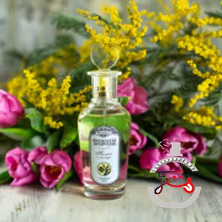 Тюльпан и мимоза - Tulip and Mimosa Brocard