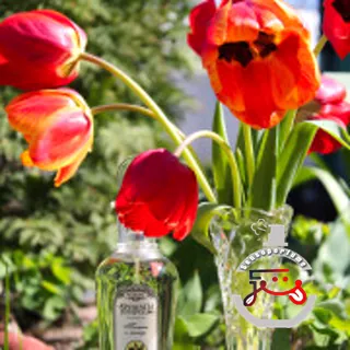 Тюльпан и мимоза - Tulip and Mimosa Brocard