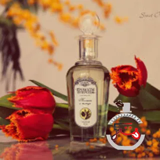 Тюльпан и мимоза - Tulip and Mimosa Brocard