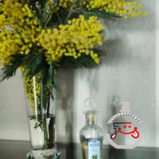 Тюльпан и мимоза - Tulip and Mimosa Brocard