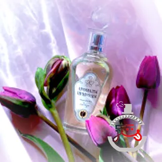 Тюльпан и мимоза - Tulip and Mimosa Brocard