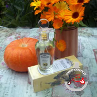Тюльпан и мимоза - Tulip and Mimosa Brocard