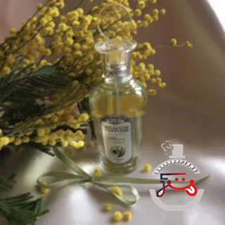 Тюльпан и мимоза - Tulip and Mimosa Brocard