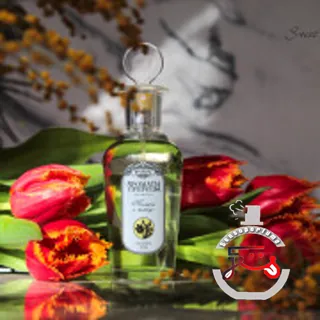 Тюльпан и мимоза - Tulip and Mimosa Brocard