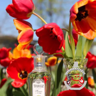 Тюльпан и мимоза - Tulip and Mimosa Brocard