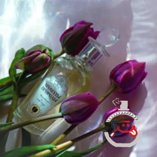 Тюльпан и мимоза - Tulip and Mimosa Brocard