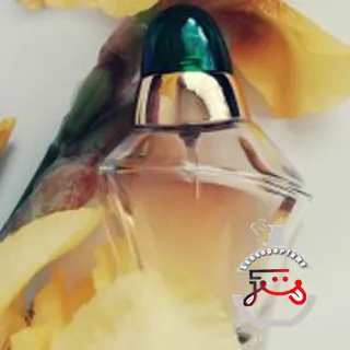 Volupté Oscar de la Renta