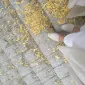 پی‌ام‌جی‌تی
