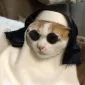 badgoat