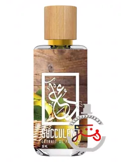 ساکولنت د دوآ برند | succulent the dua brand