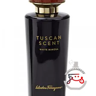 White Mimosa Salvatore Ferragamo