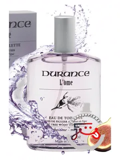فیگ تری وود دورانس آن پرووانس | fig tree wood durance en provence