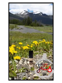 هیدن لاژ سالستیس سنتس | hidden lodge solstice scents