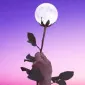 violet_affliction