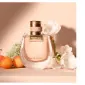 My Fragrance Connoisseur