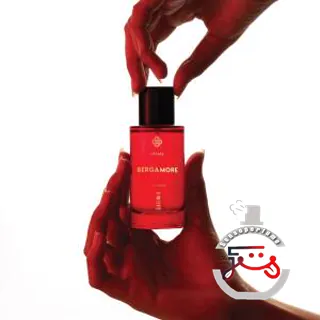 Bergamore Limited Edition Usual Parfums