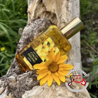 Color Feeling Yellow Brocard
