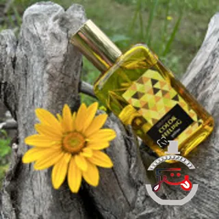 Color Feeling Yellow Brocard