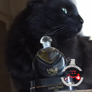 Magie Noire Parfum Lancôme