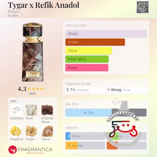 Tygar x Refik Anadol Bvlgari