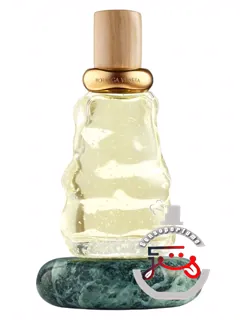 آکوا ساله بوتگا ونتتا | acqua sale bottega veneta