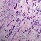 perfumedpathologist