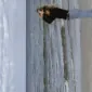 jasmine27