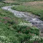 ایلیسمایرِگ