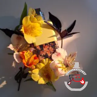 Bitter Splash Dries Van Noten