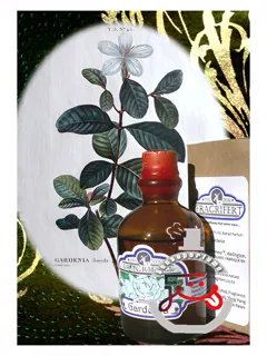 گاردنیا فراگریفرت پرفیومر | gardenia fragrifert parfumeur