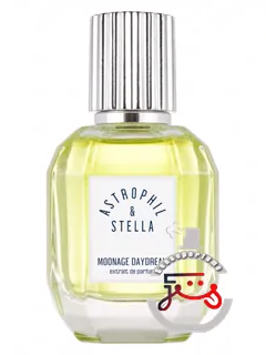 مونیج دیدریم آستروفیل اند استلا | moonage daydream astrophil & stella