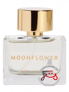 مون‌فلاور بیورک اند بریز | moonflower bjork and berries